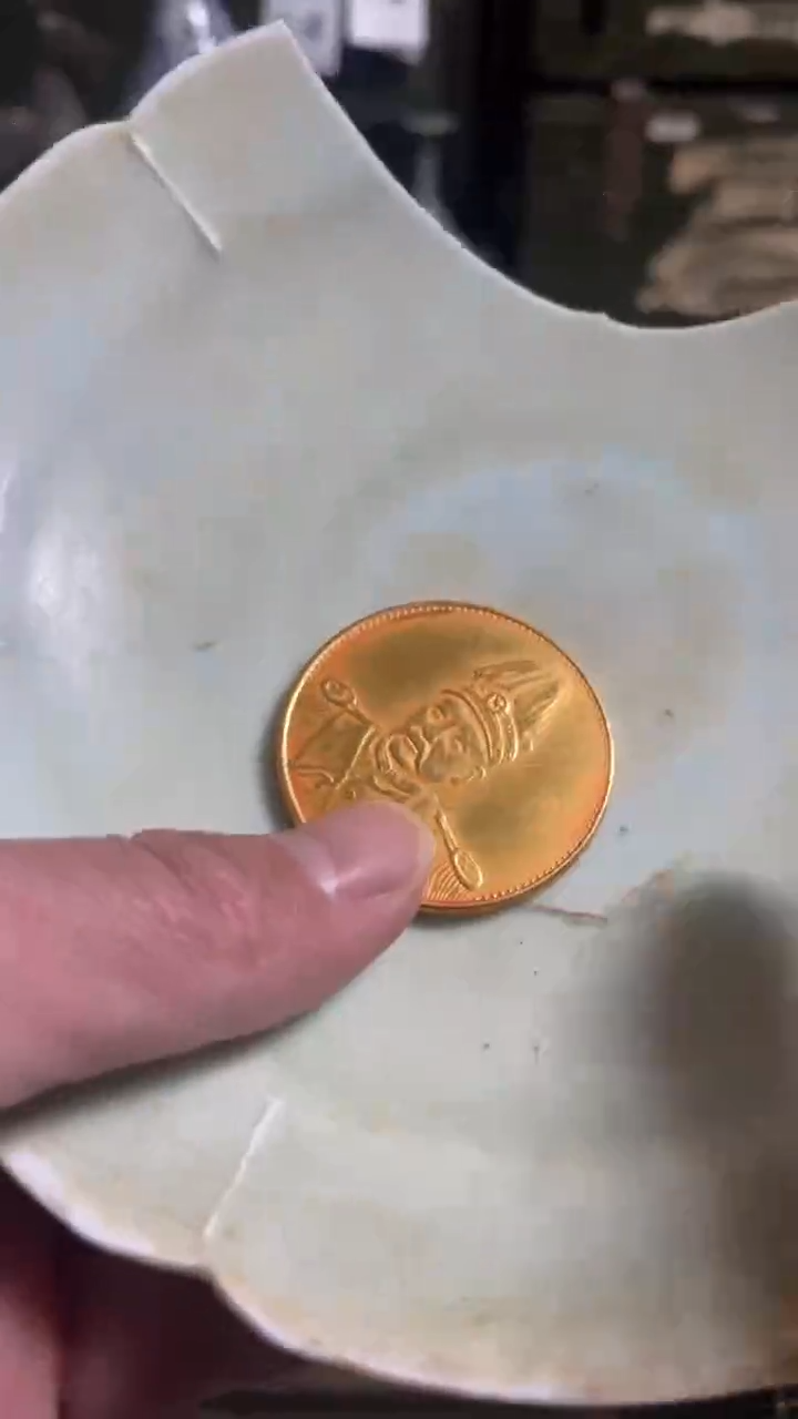 瓷片主播推荐好物