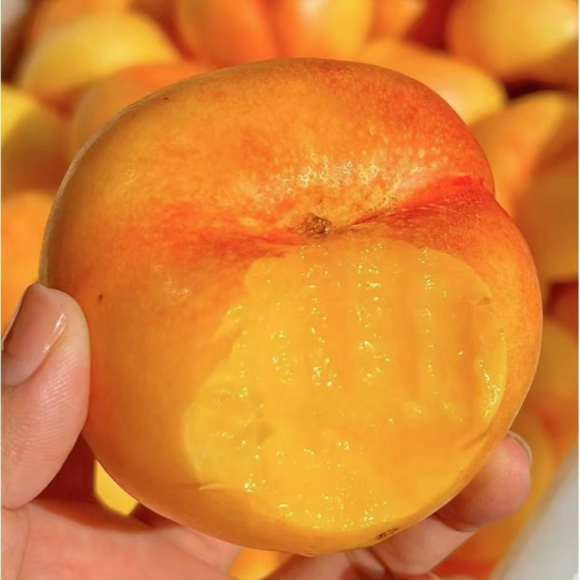 香甜黄蟠桃 约500g桃子桃子同城送山东省