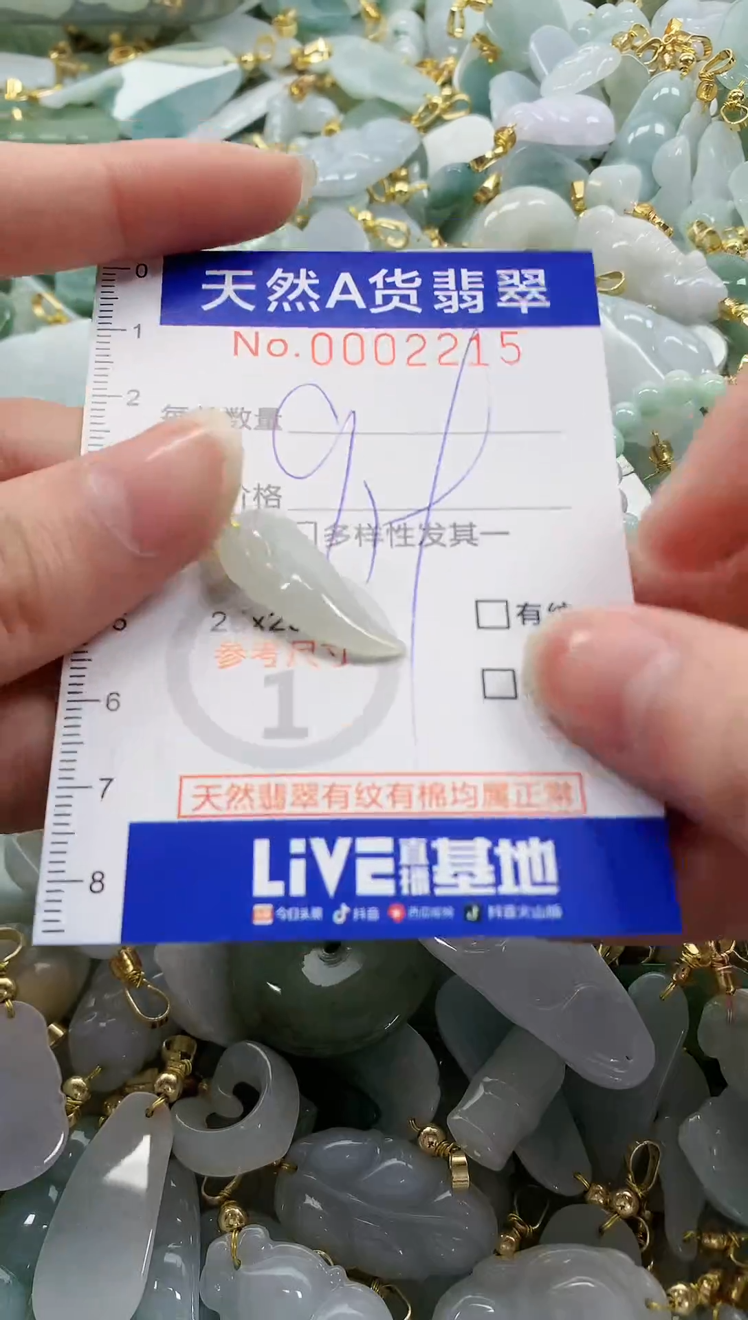 颈饰未镶嵌翡翠纯天然a货翡翠