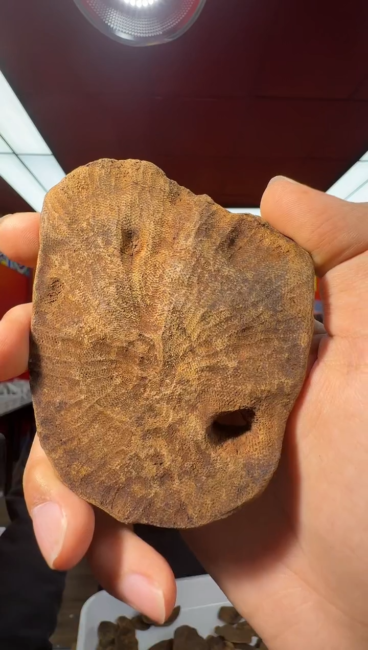 沉香吊坠t130海南多样性发一