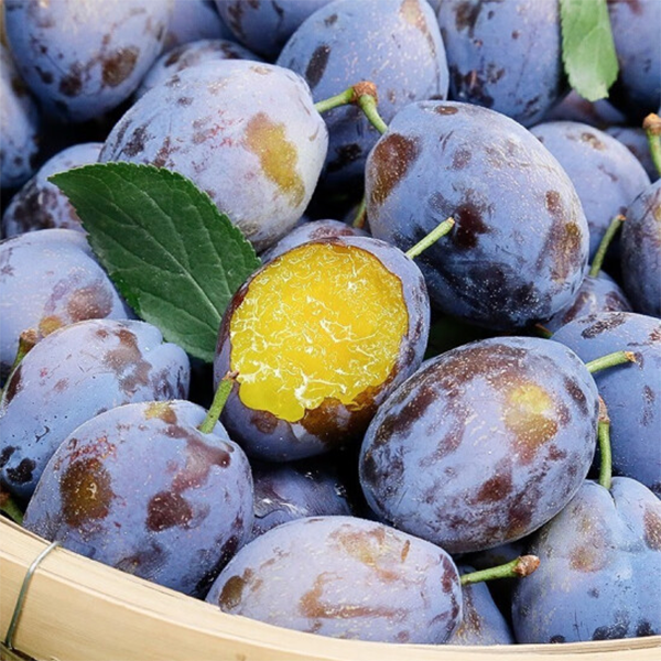 西北蓝蜜西梅次日达新鲜饱满多汁水酸甜脆爽应季整箱水果现货8.15