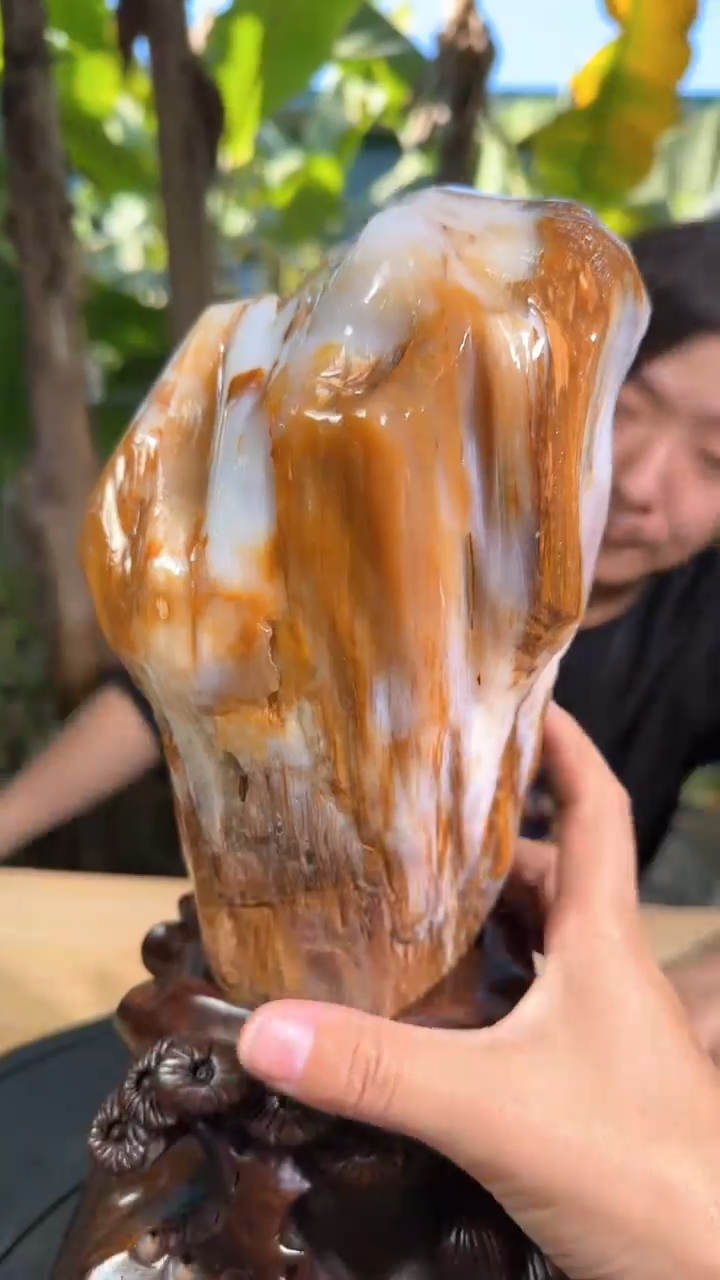 【闪购商品】硅化玉珠宝奇石未镶嵌拍一发一