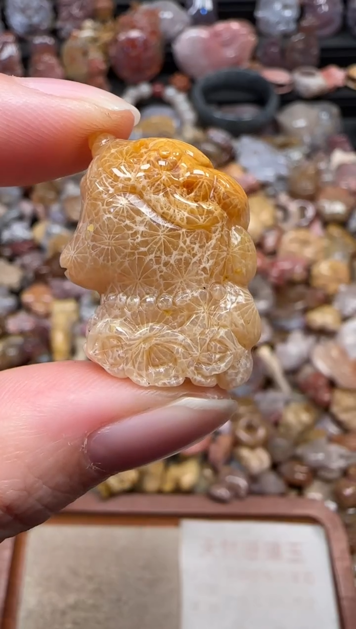 颈饰未镶嵌硅化珊瑚（珊瑚玉）241