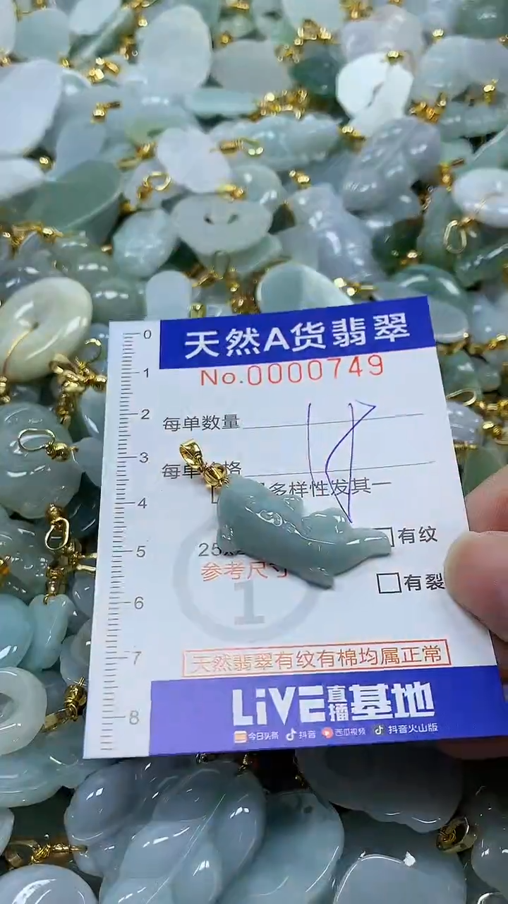 颈饰未镶嵌翡翠纯天然a货翡翠