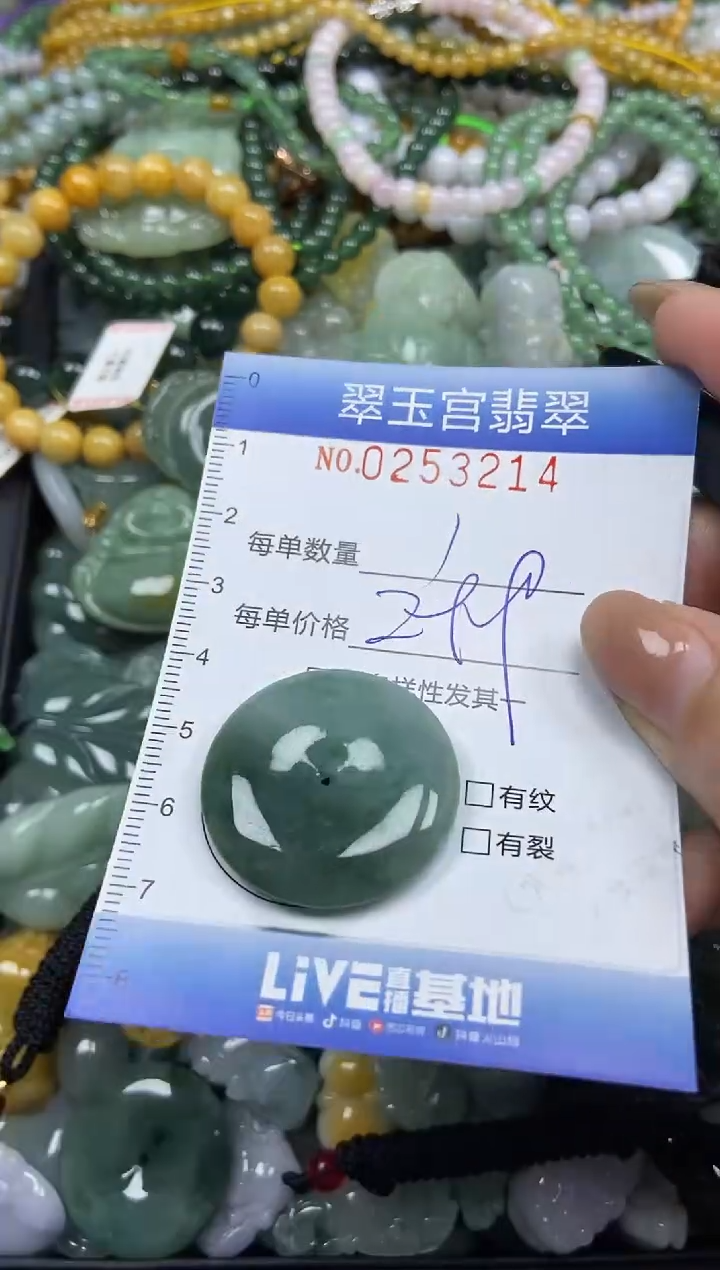 颈饰未镶嵌翡翠闪购C0253214