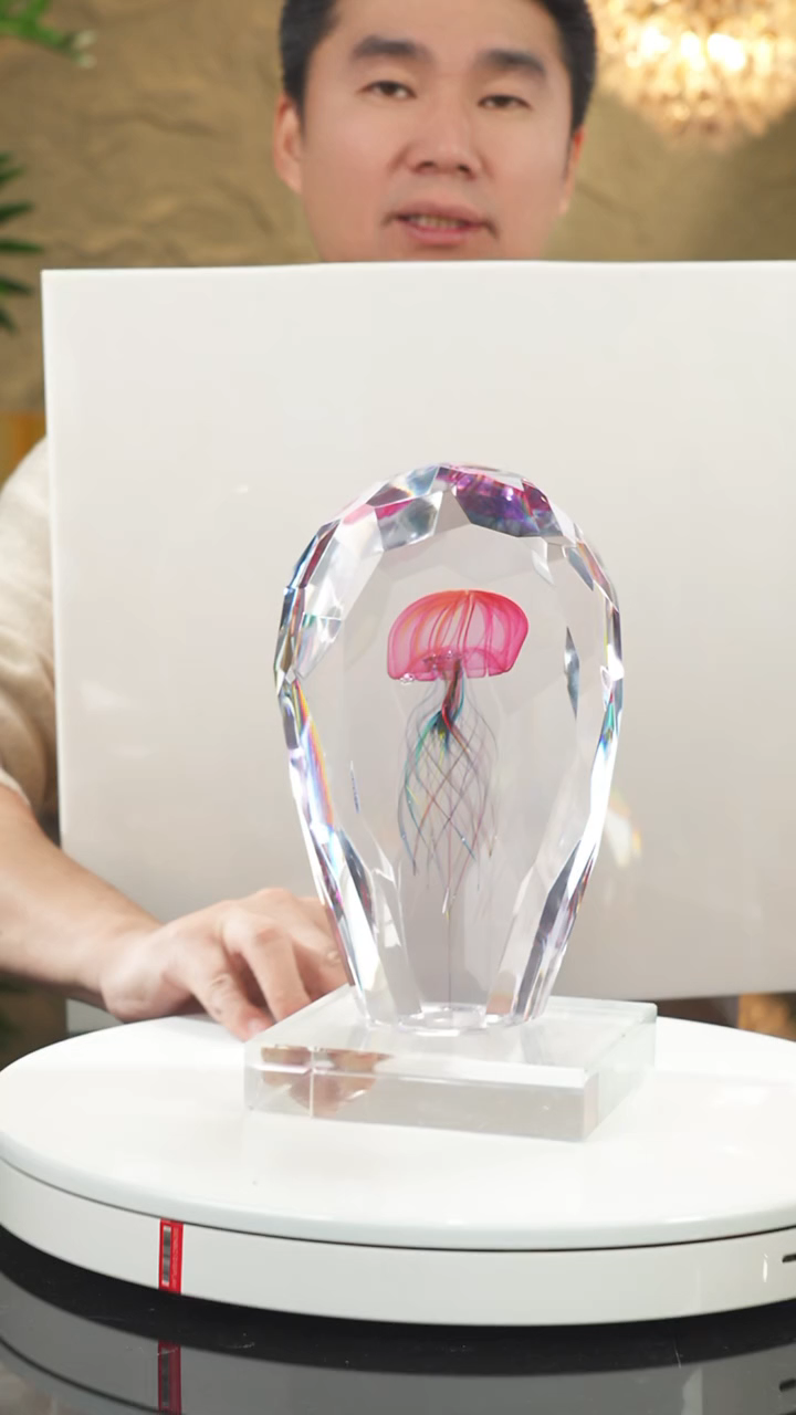 【闪购商品】摆件设计款切面水母摆件