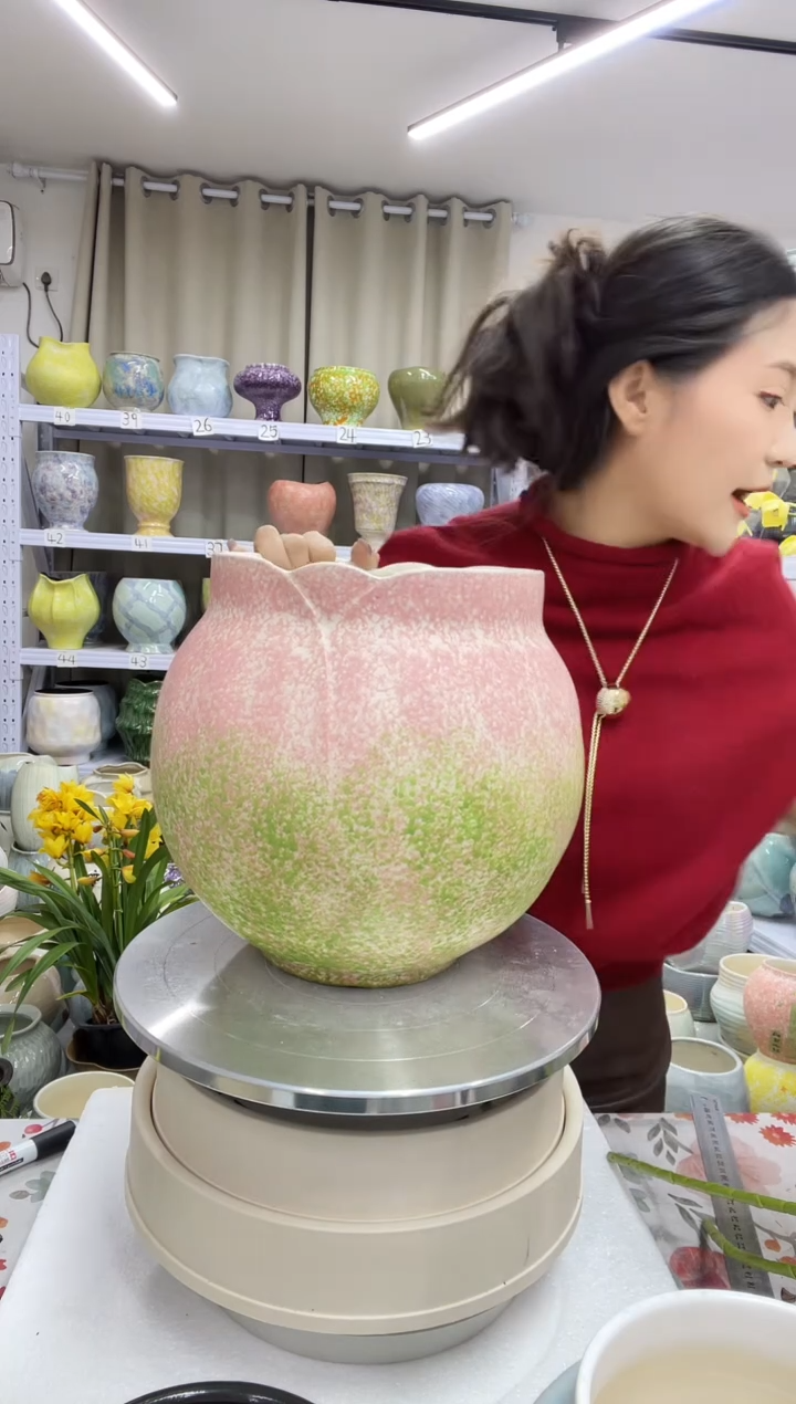 12.11【花盆链接】  高 ：25 口:18.5