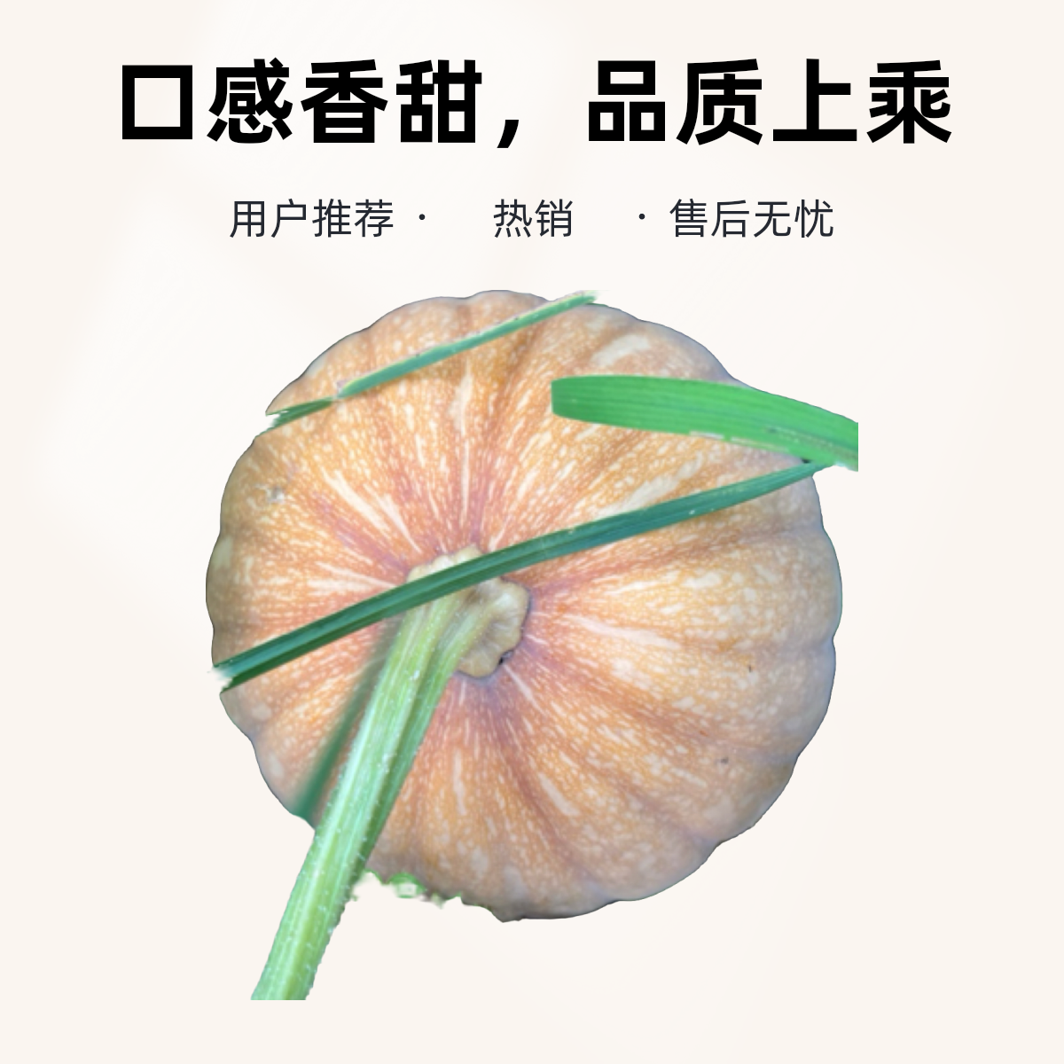 地理标志性、潘家南瓜扁圆磨盘形状肉厚口感好香甜美味