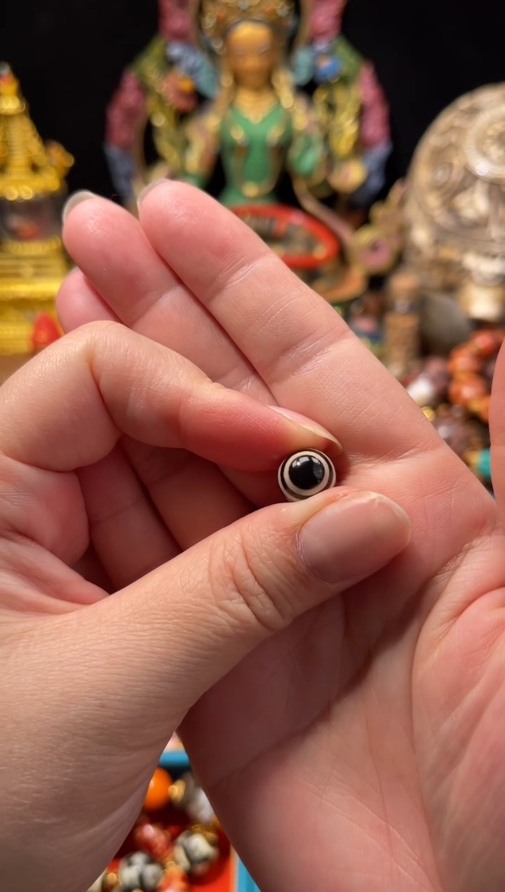 未镶嵌0玛瑙/玉髓ZW Y生S