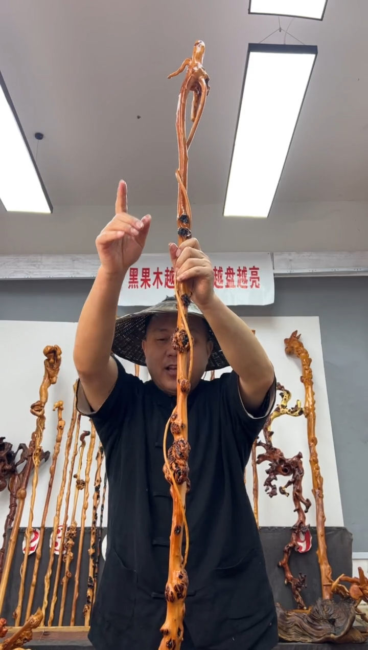 【闪购商品】黑果木其他黑果木140