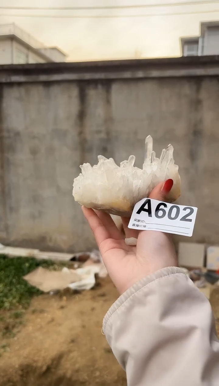 【闪购商品】水晶摆件未镶嵌水晶 602