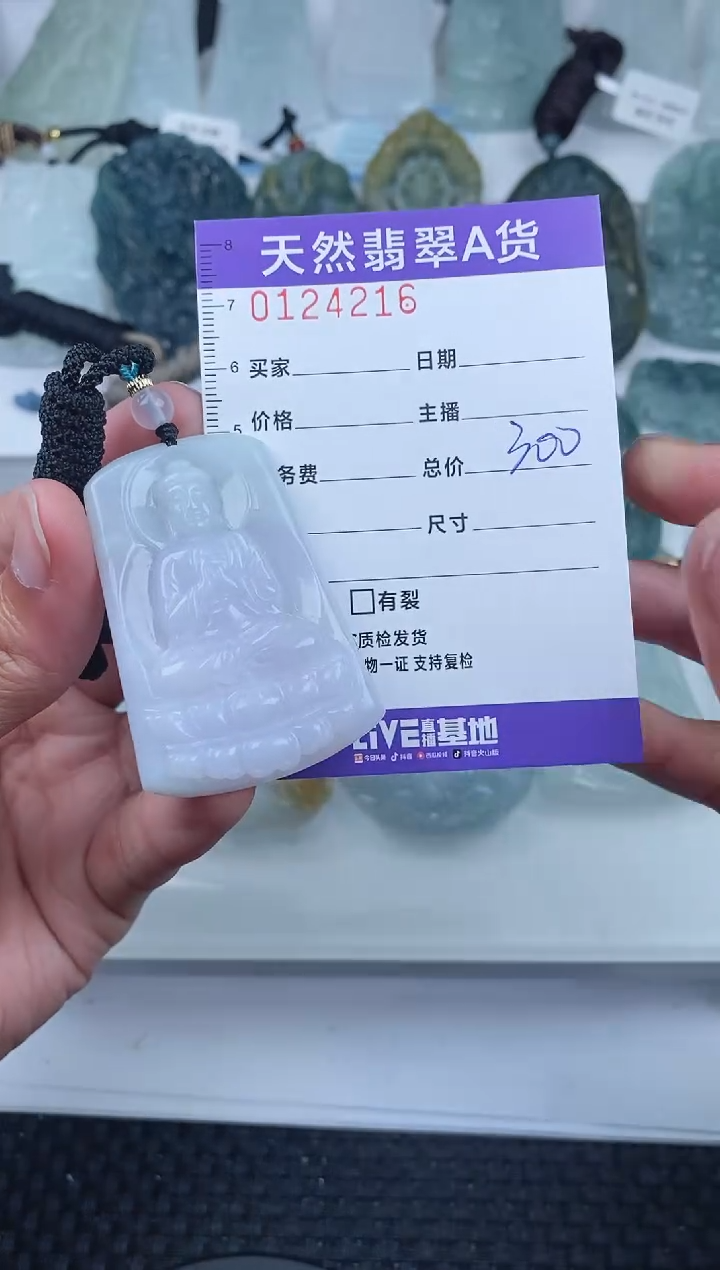 【闪购商品】翡翠颈饰未镶嵌       216