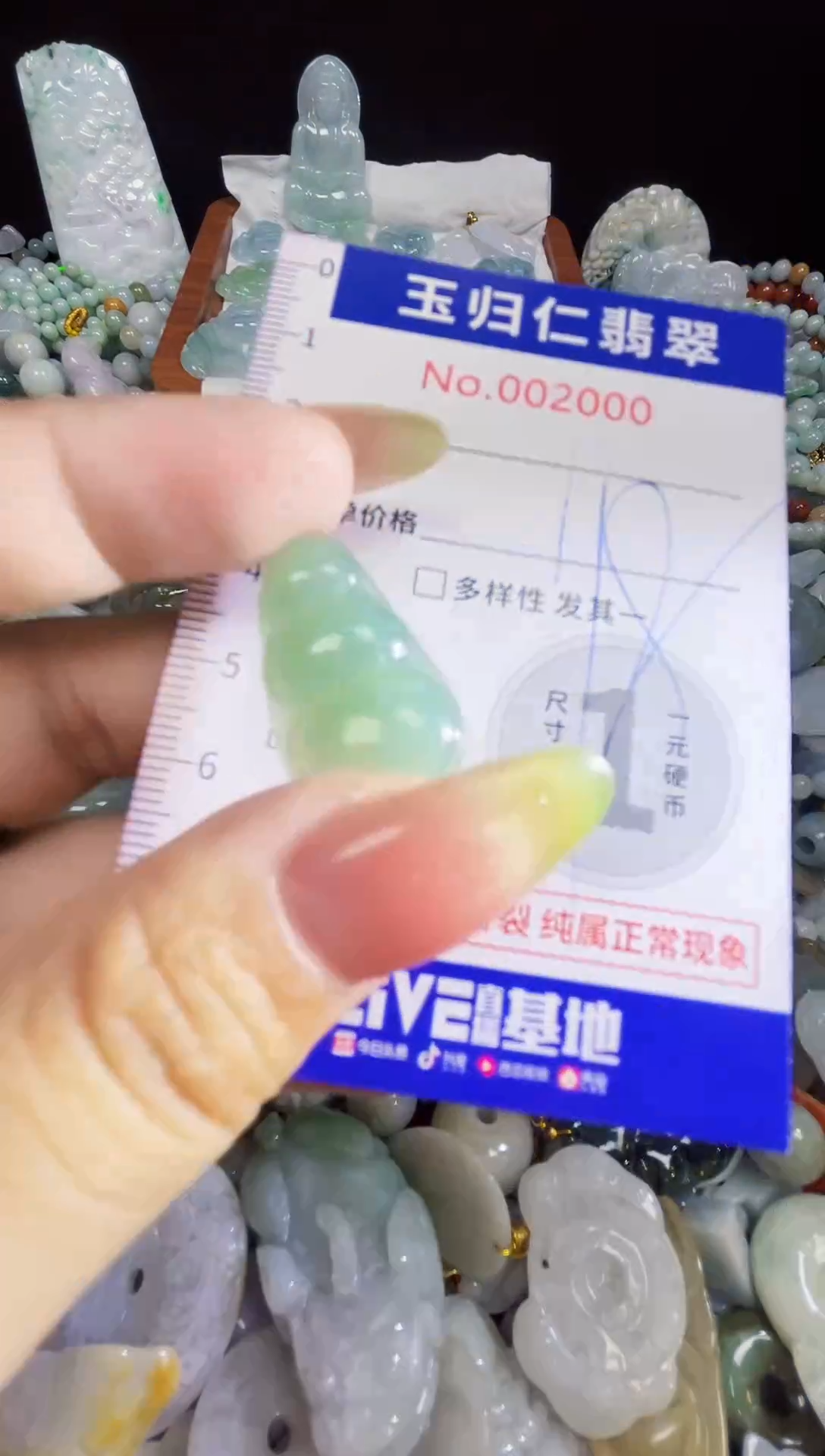 颈饰未镶嵌翡翠122