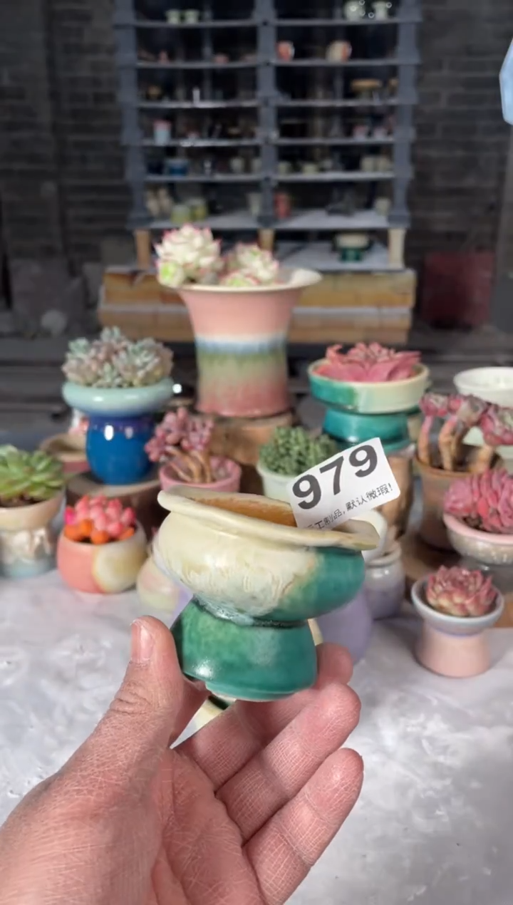 瓷片979小芳直播编号