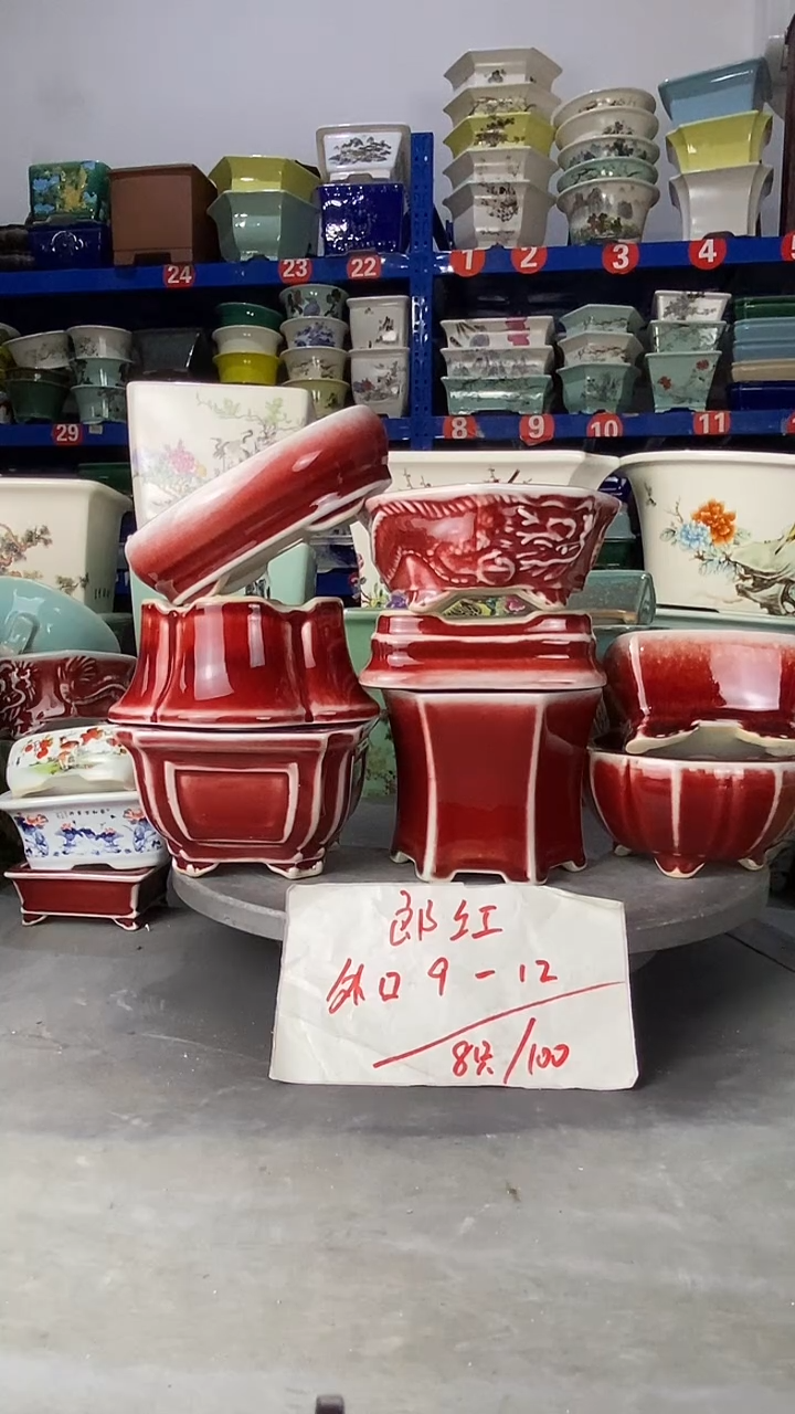 【闪购商品】紫砂504郎红