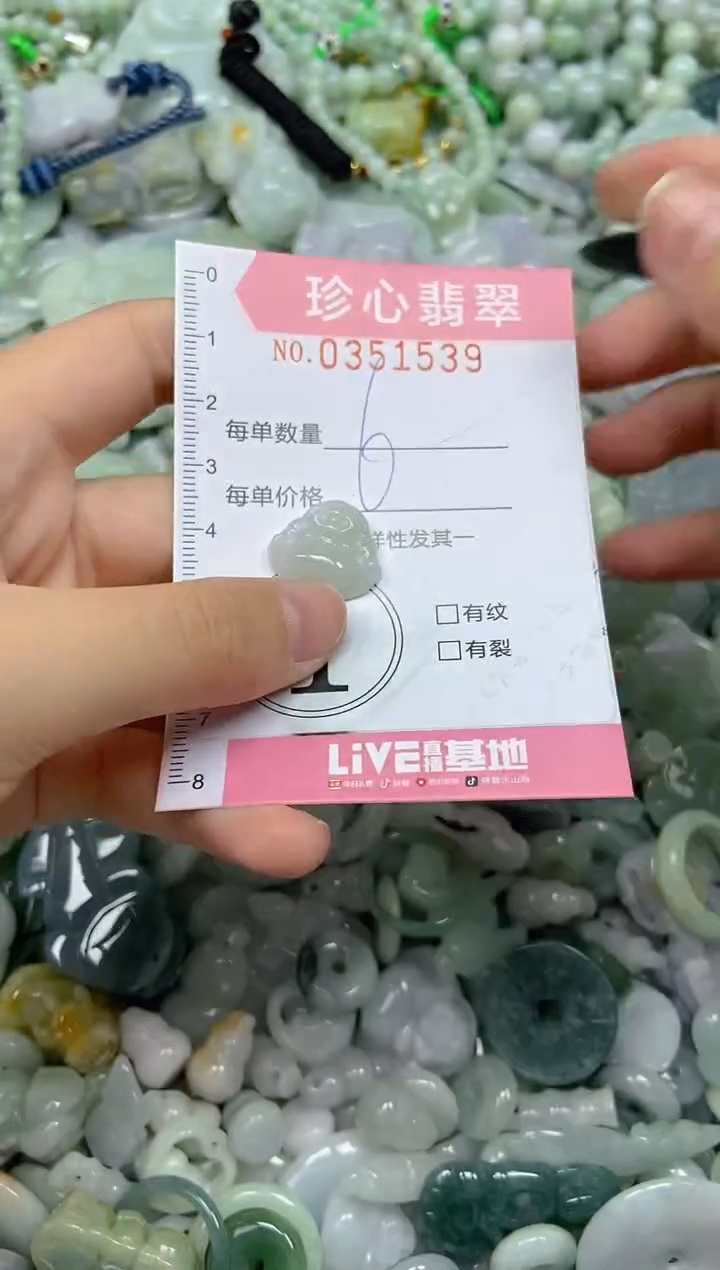 颈饰未镶嵌翡翠闪购0351539