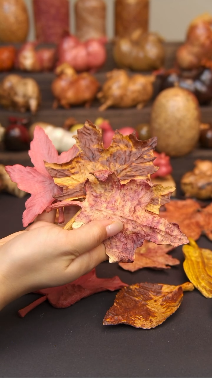 交趾黄檀（大红酸枝）?****?叶子