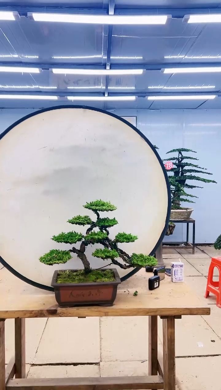 5*.00000000000000000