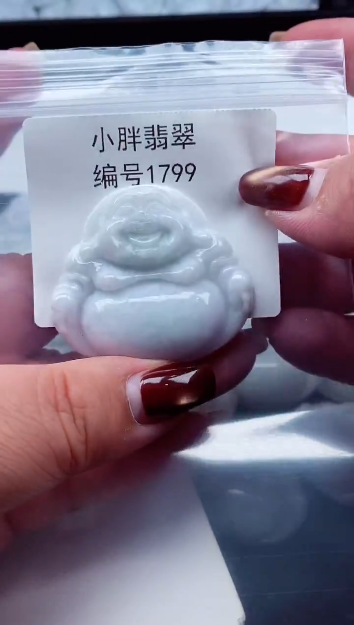 颈饰未镶嵌翡翠缅甸天然A货翡翠1799