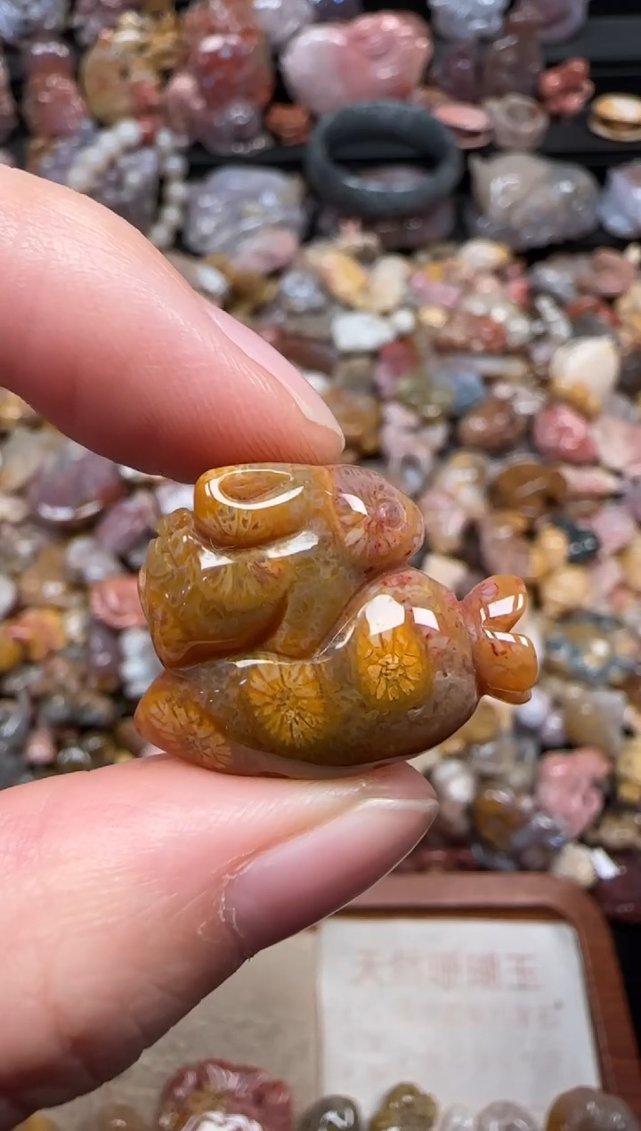 颈饰未镶嵌硅化珊瑚（珊瑚玉）808