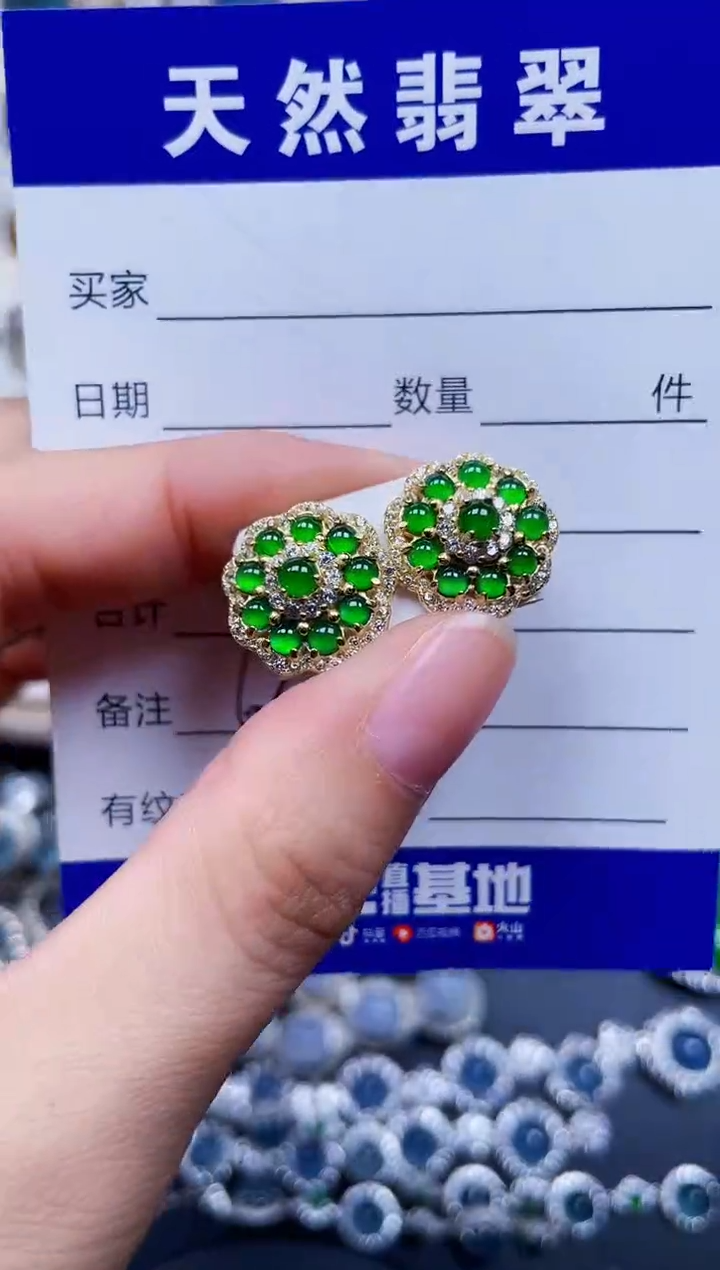 银S925镶嵌翡翠耳饰630