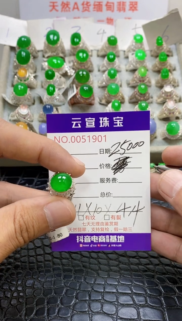 未镶嵌戒指翡翠/19010000