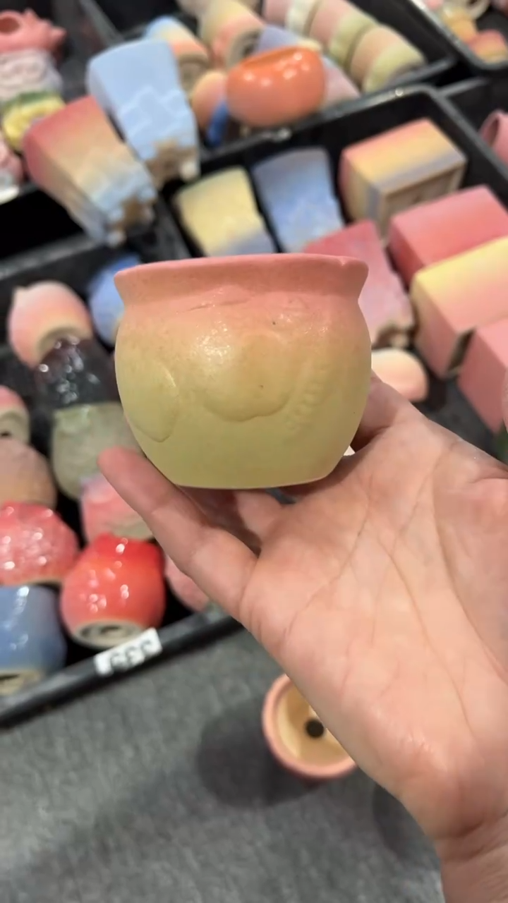 【闪购商品】红陶5*5