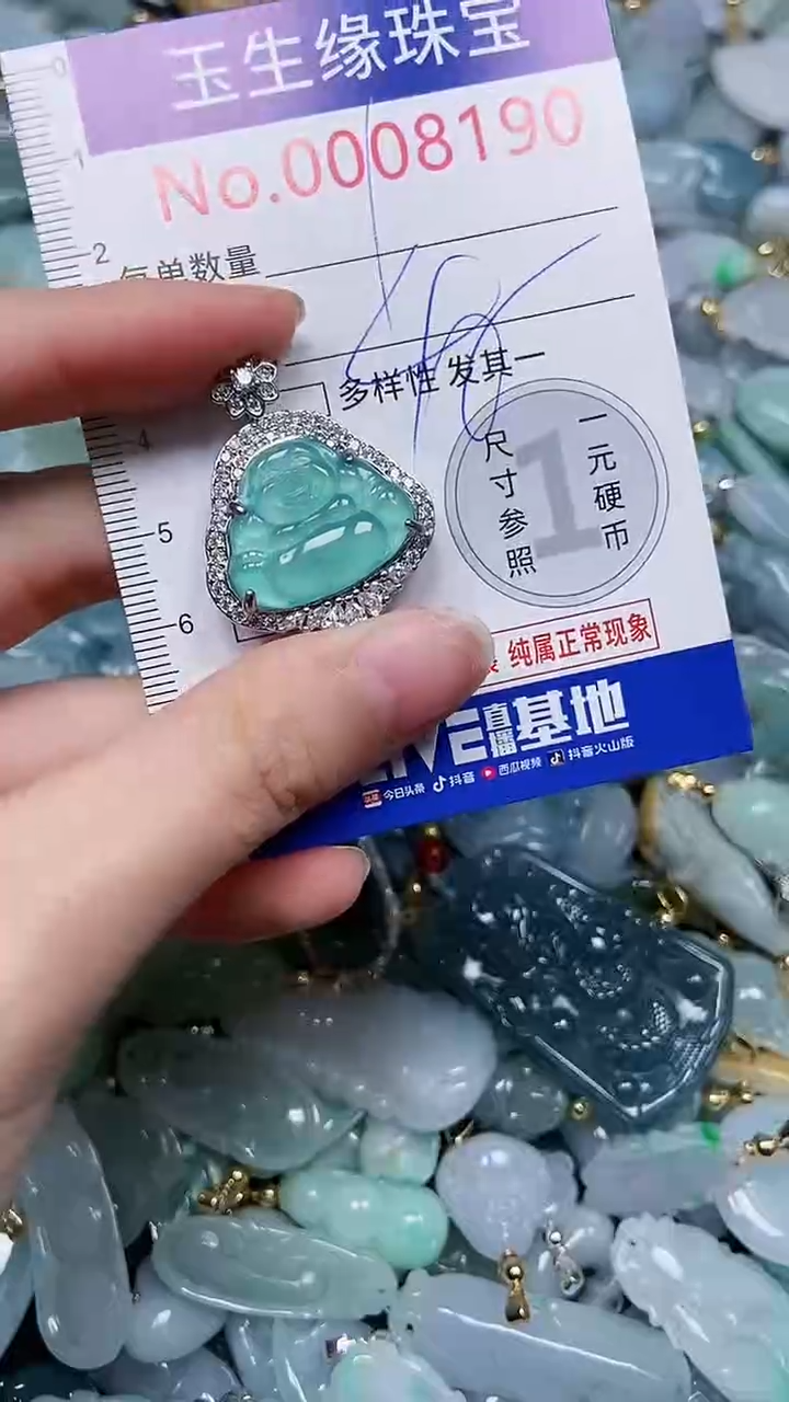 【闪购商品】翡翠颈饰未镶嵌闪购00008190