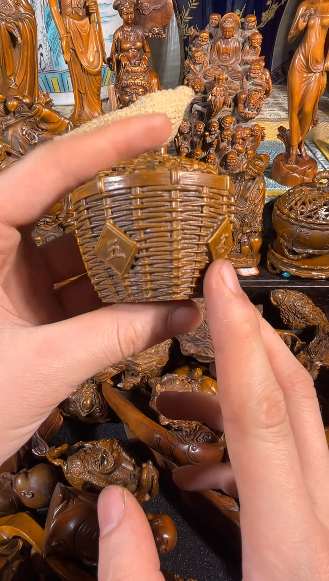 黄杨木11111111111