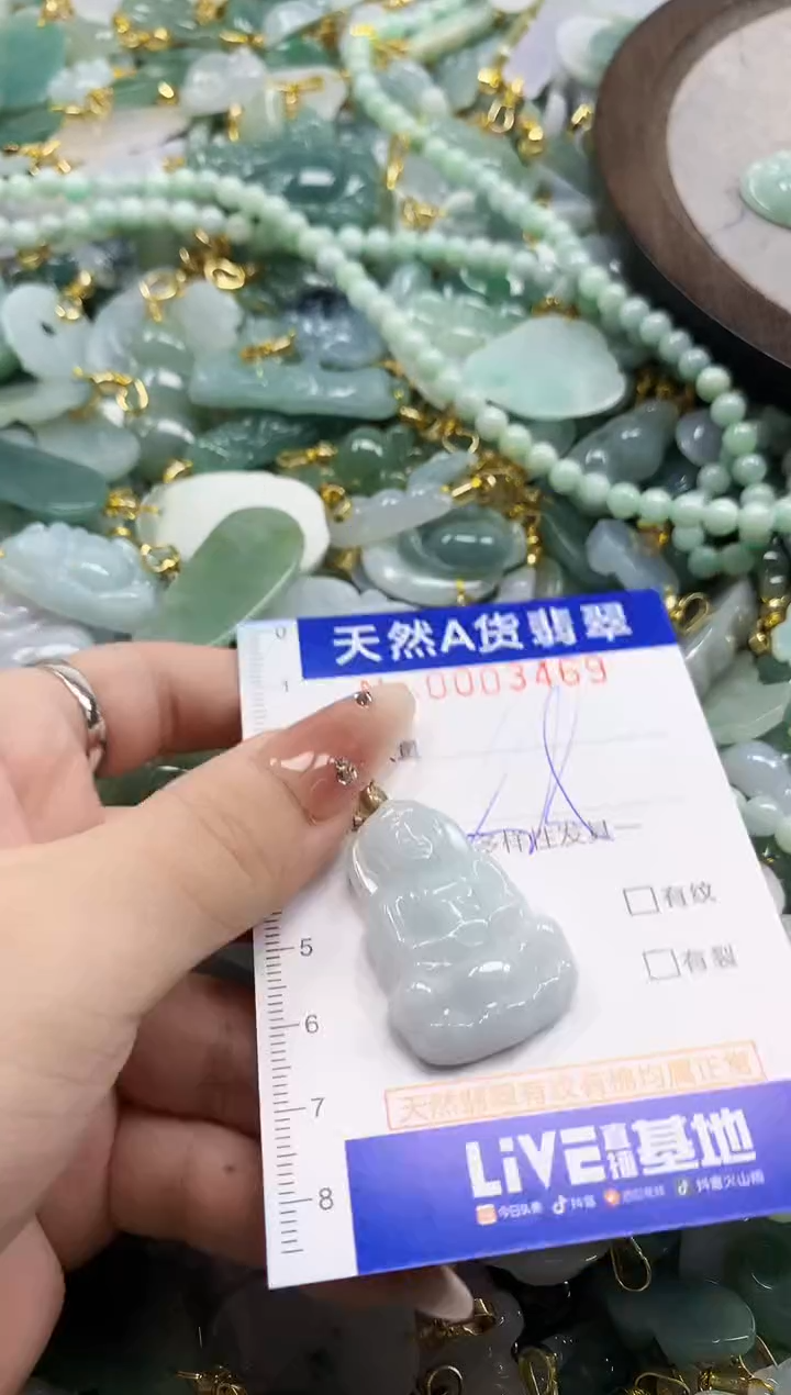 颈饰未镶嵌翡翠天然A货翡翠