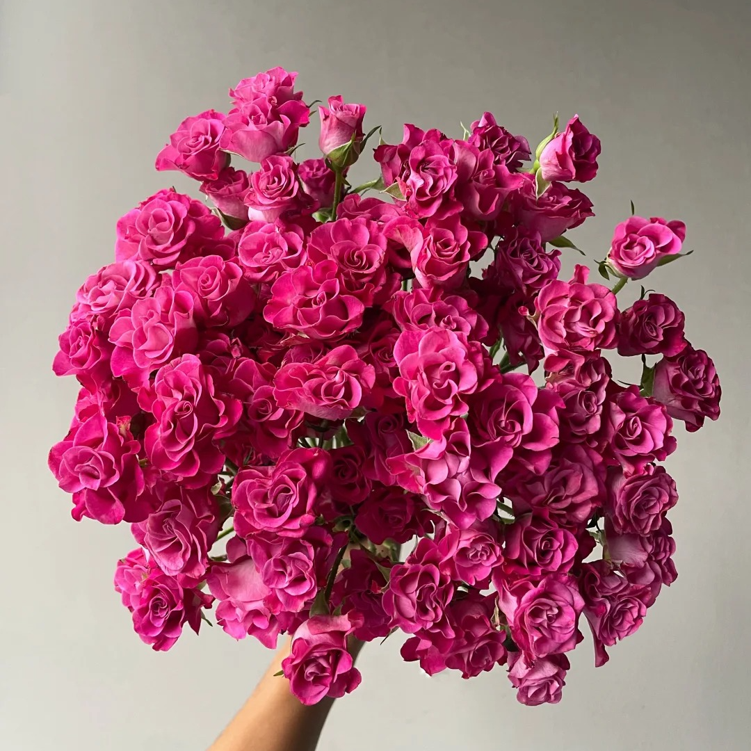 【星海湾】多头玫瑰（全场同一地址两单顺丰冷链包邮噢~）