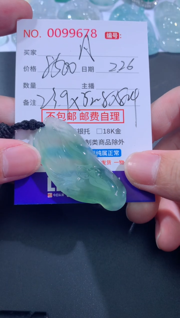 【闪购商品】翡翠颈饰未镶嵌凡