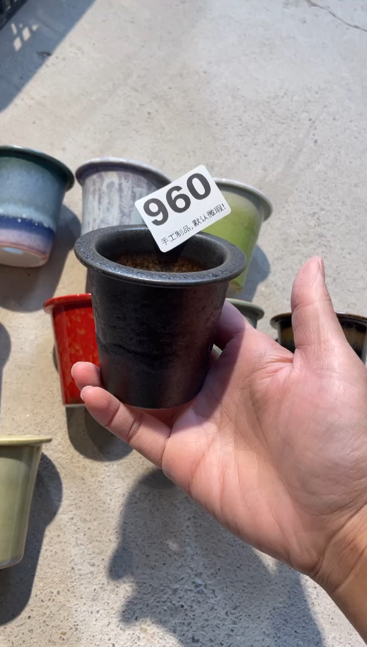 瓷片好****6960知木小芳直播编号