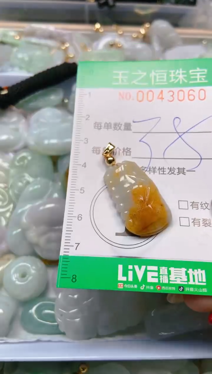 【闪购商品】翡翠颈饰未镶嵌闪购0043060