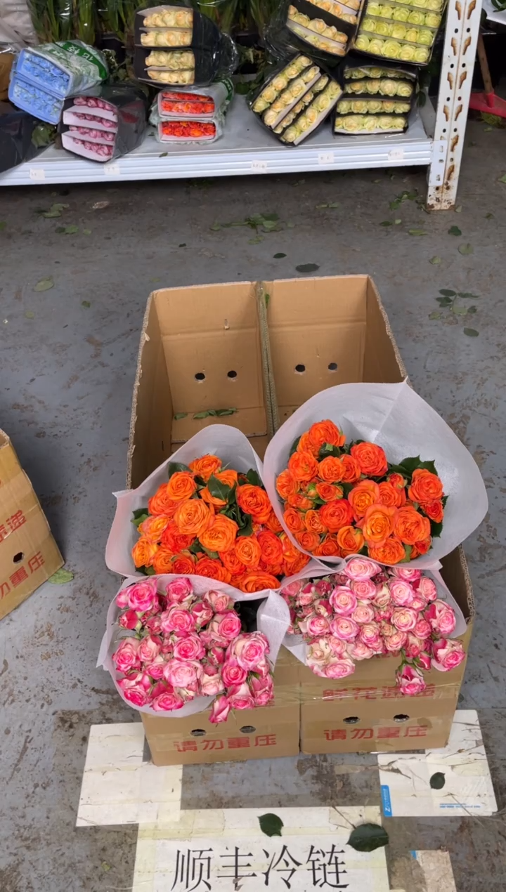 折射10枝+橙色芭比10枝