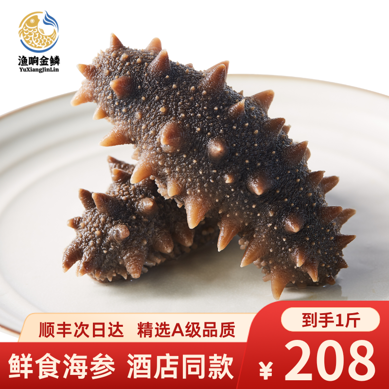 渔响湾 鲜食海参 5-7头 高品质 免泡 源头发货 真空包装