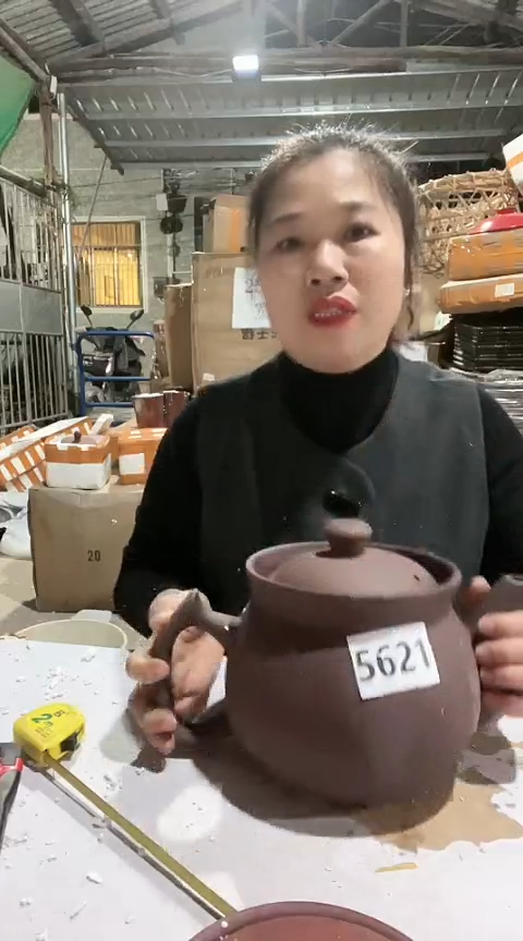 陶5621瑕疵紫砂养生壶