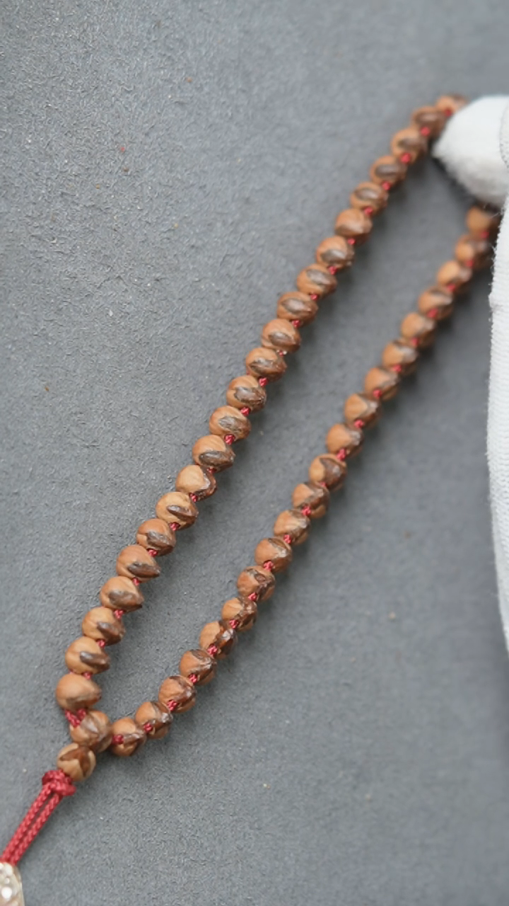 【闪购商品】柏香籽/百香籽吊坠正奔手持