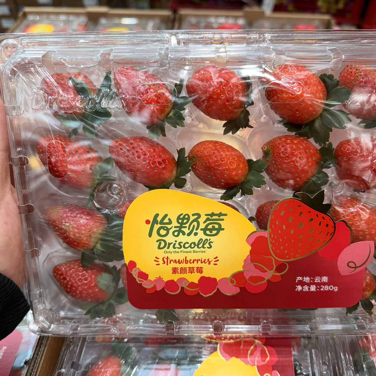 【果香浓郁】怡颗莓云南素颜草莓新鲜应季水果1/2/4/8盒装 新疆包邮
