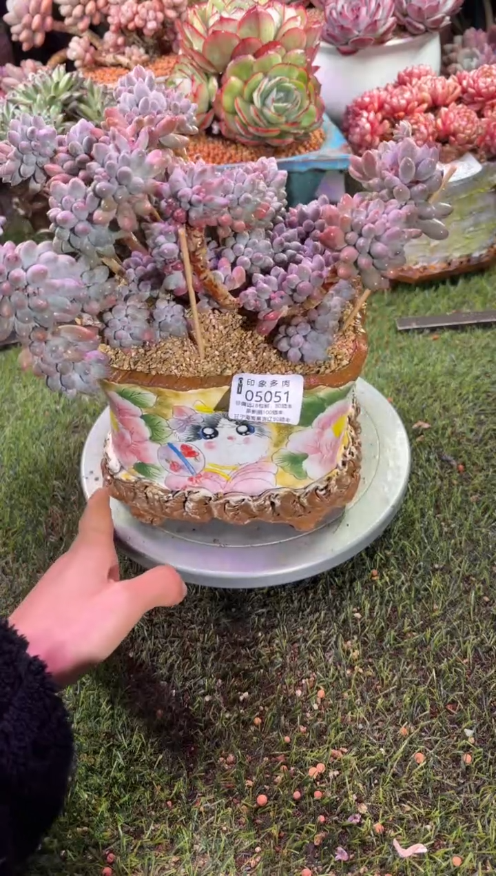 【闪购商品】05051