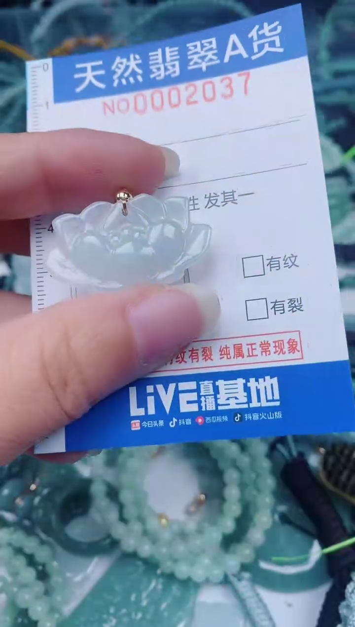 颈饰未镶嵌翡翠00002037