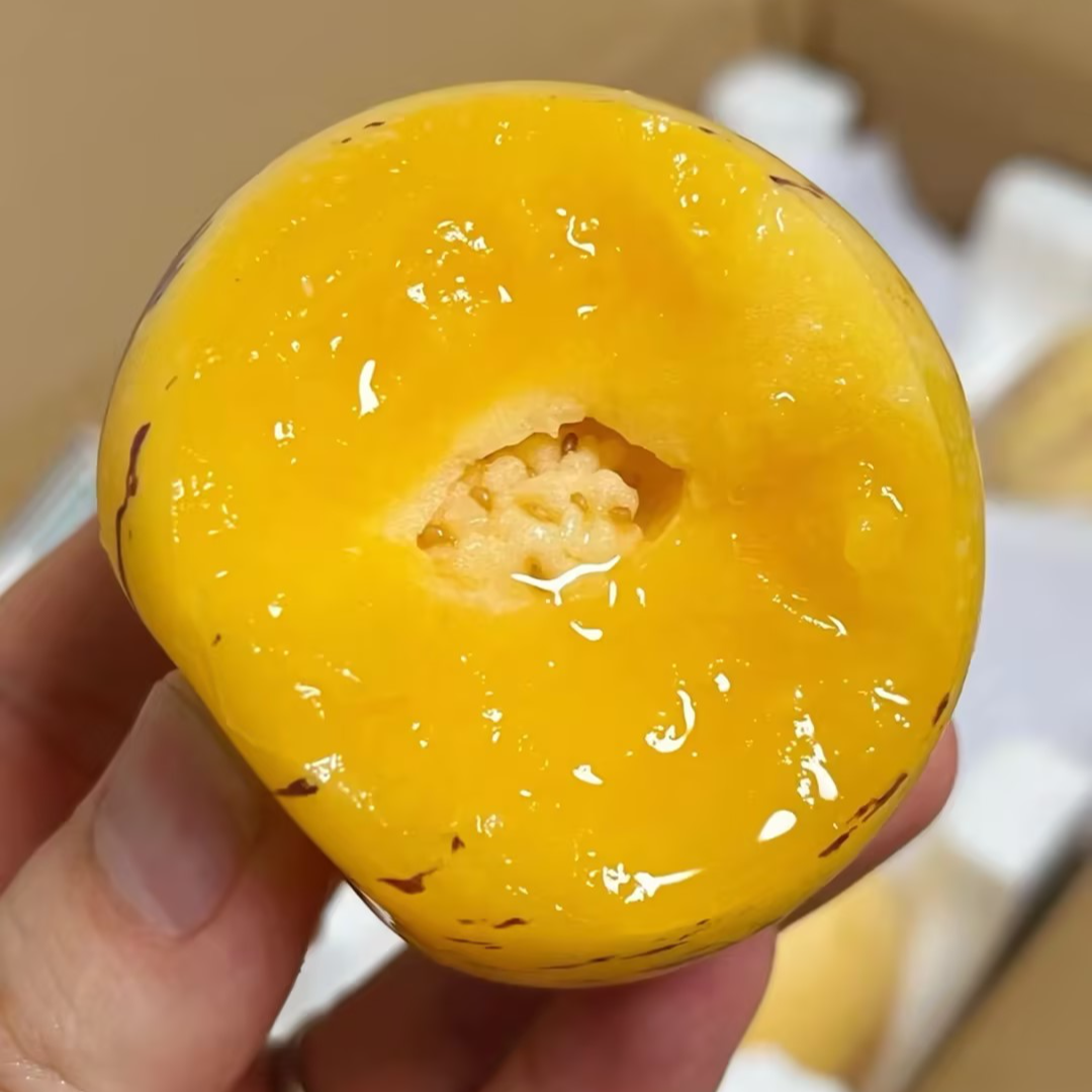 云南石林人参果树上熟黄肉圆果清甜新鲜皮薄多汁