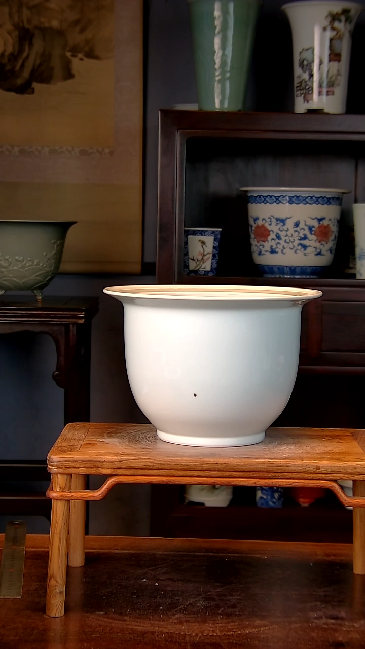 【闪购商品】红陶1