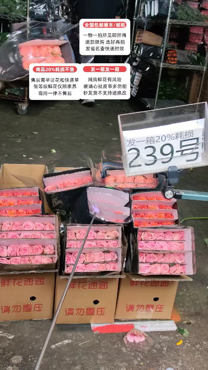 239号♥含20%耗损发一箱