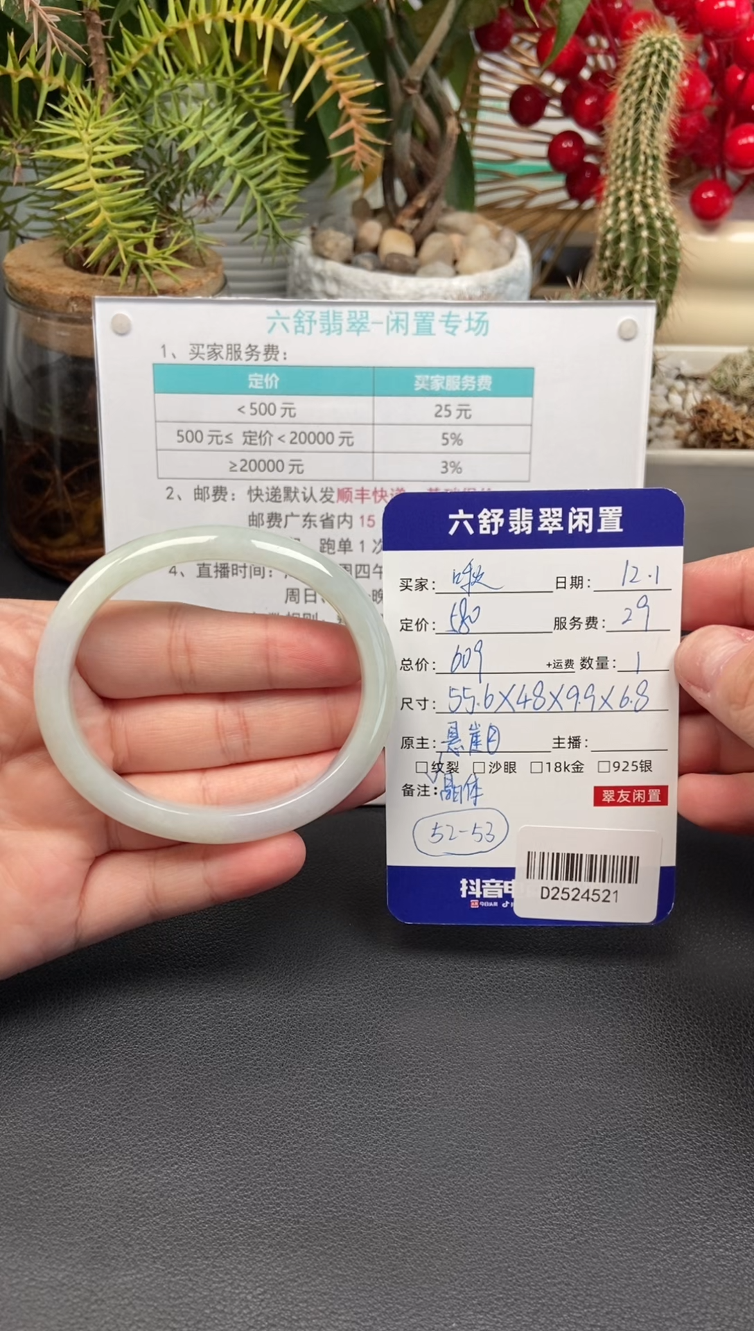 未镶嵌手镯翡翠啾****～D2524521