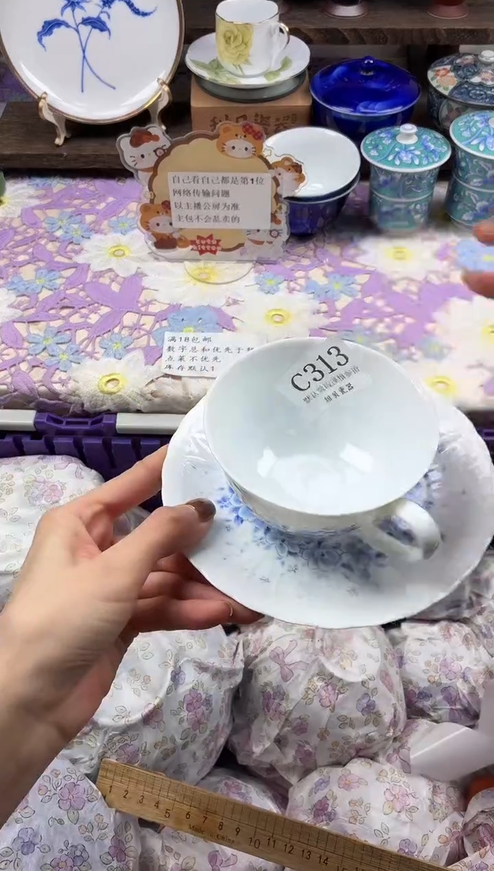 瓷片等****去                C313