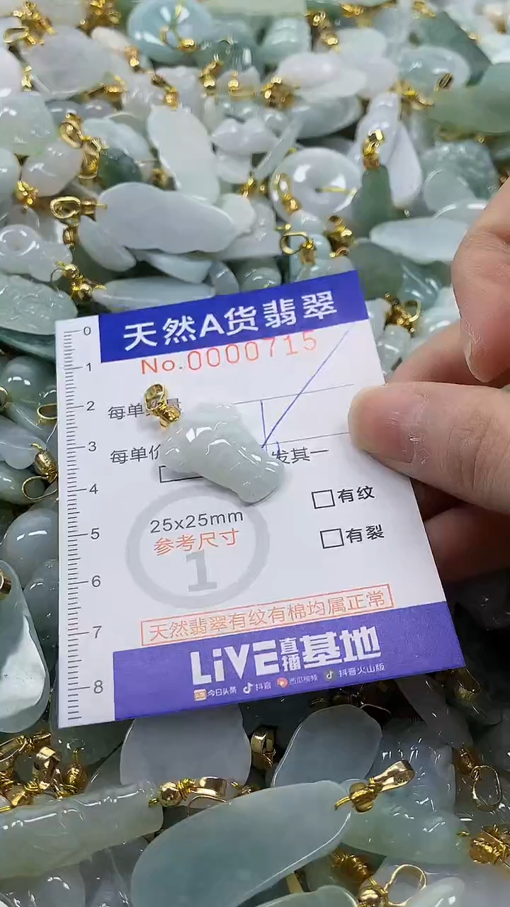 颈饰未镶嵌翡翠纯天然a货翡翠