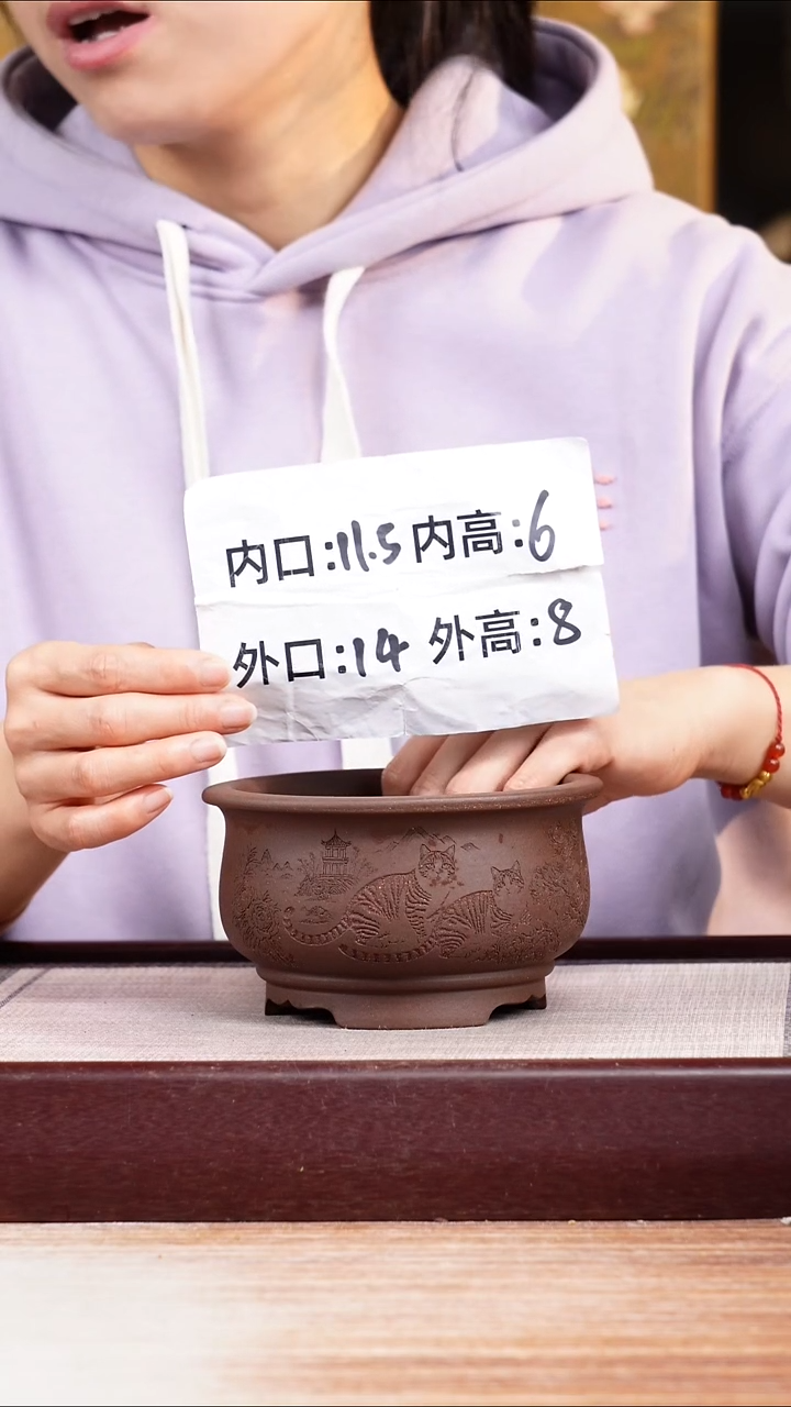 紫砂花盆紫泥刻绘猫咪迷你矮圆盆一只无托