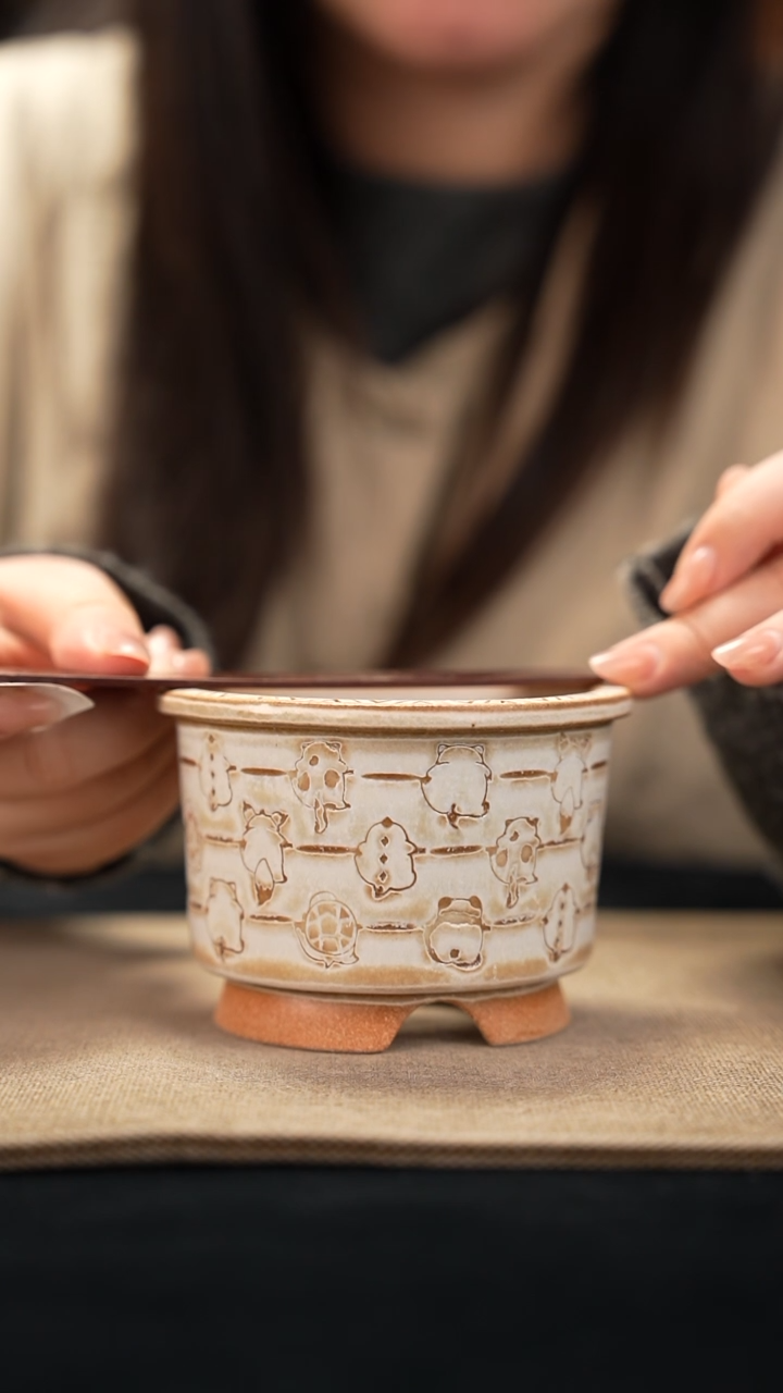 口径8.5花盆-11-26-400