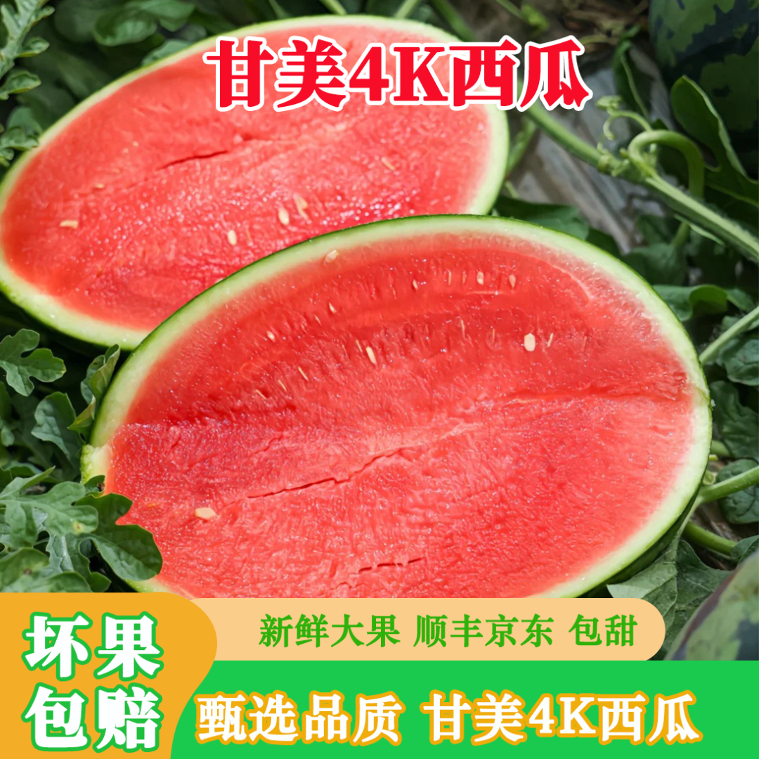 【产地直发】甘美4K西瓜脆甜多汁无籽西瓜当季新鲜时令水果现摘